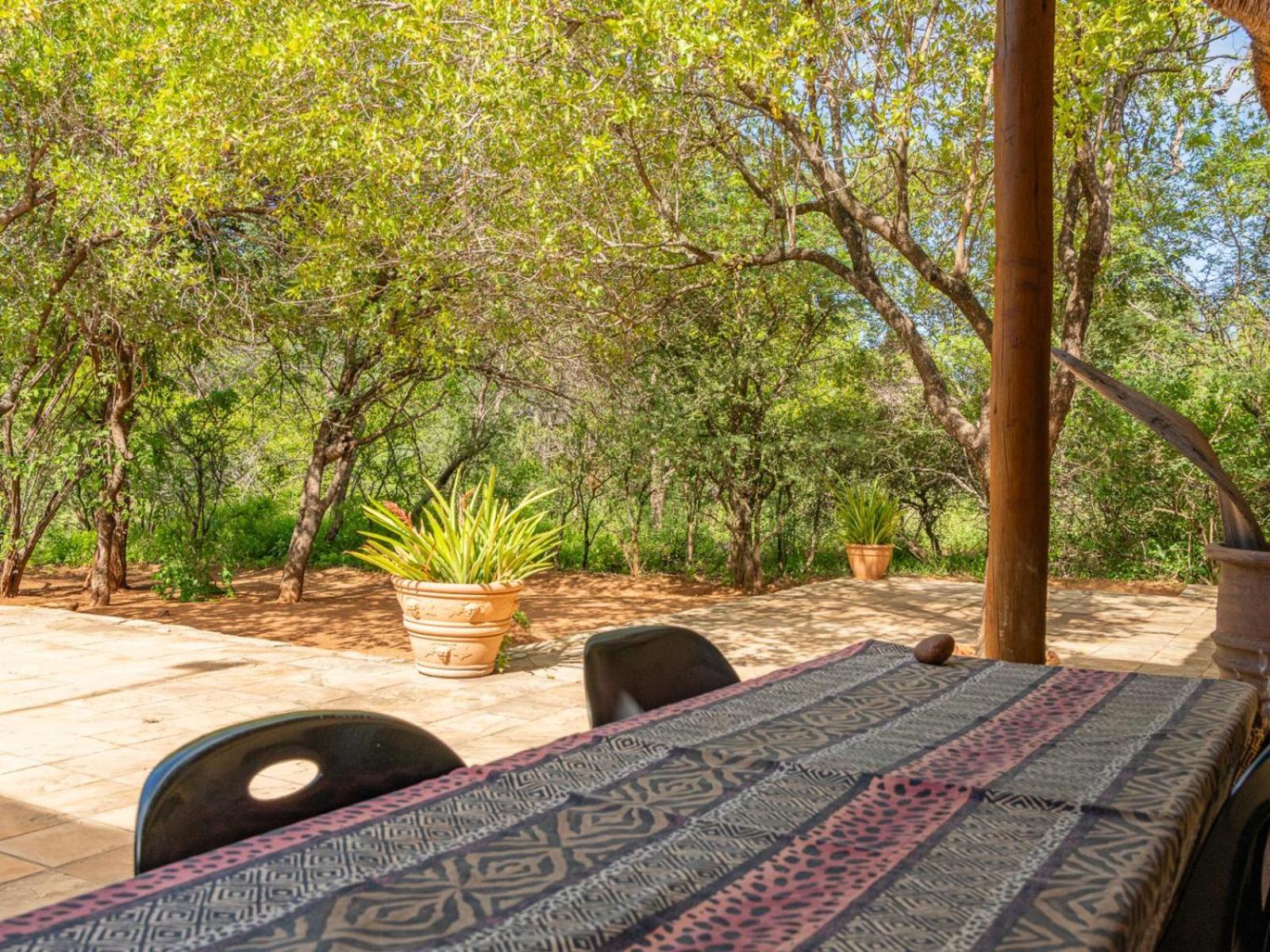 Impala Cottage Hoedspruit Εξωτερικό φωτογραφία