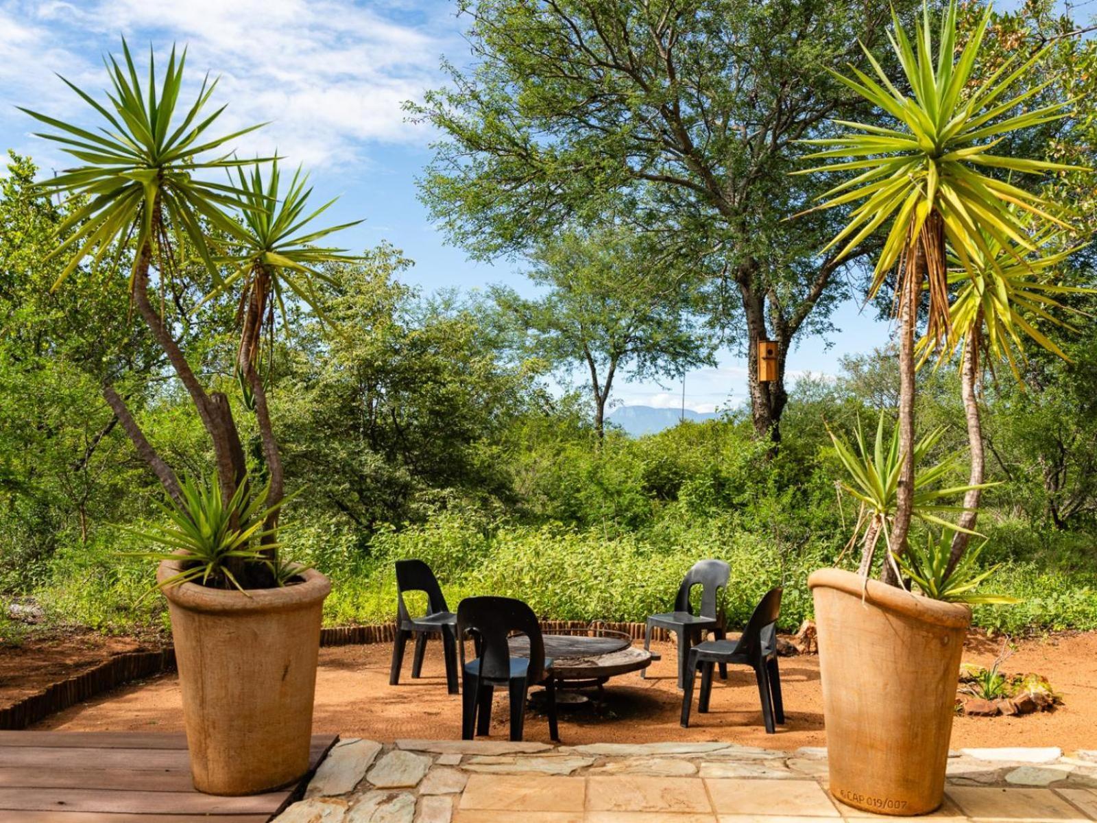 Impala Cottage Hoedspruit Εξωτερικό φωτογραφία